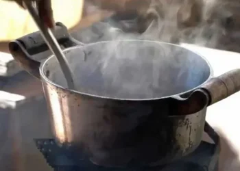 IBGE: Fome atinge 6,48 milhões de pessoas no Brasil, menor nível em 20 anos