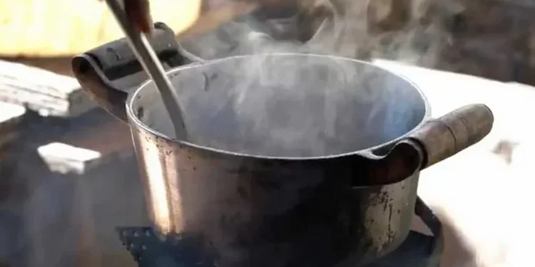 Fome no Brasil — Foto: Reprodução / TV Globo