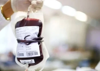 Foto: Rafaela Felicciano/ Metrópoles