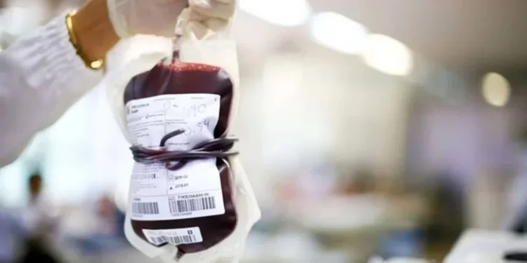 Foto: Rafaela Felicciano/ Metrópoles