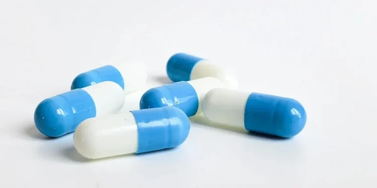 Foto: aleksejplatonov/Getty Images