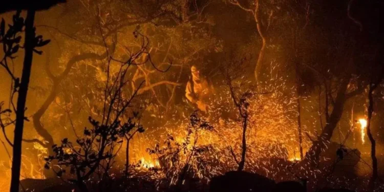 Foto: Fernando Tatagiba/ ICMBio