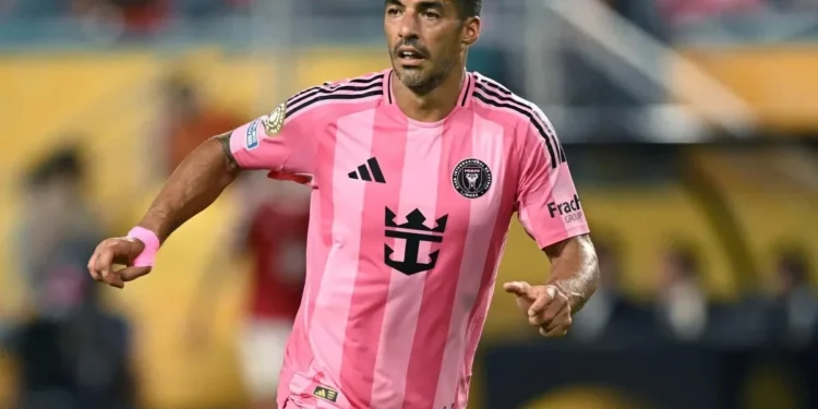 Foto: Google News - Metrópoles
Image Photo Agency/Getty Images