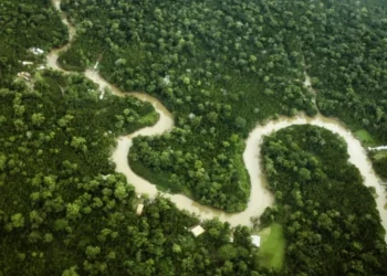 Bruno Cecim/Ag.Pará