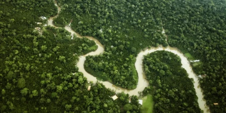 Bruno Cecim/Ag.Pará