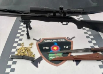 Material apreendido - Foto: Ascom PMTO