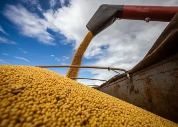 Conab estima uma colheita de 177,6 milhões de toneladas de soja, novo recorde — Foto: Wenderson Araujo/CNA