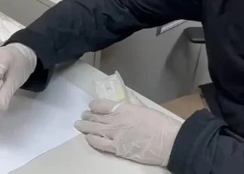 Foto: Divulgação/PF