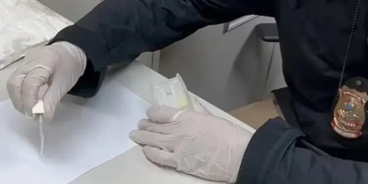 Foto: Divulgação/PF