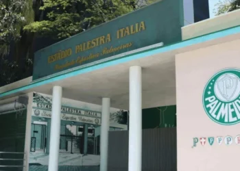 Fábio Menotti / Palmeiras