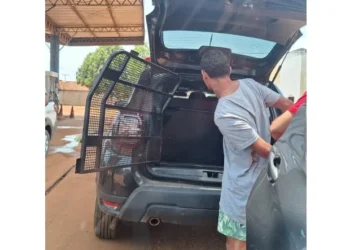 Homem estava escondido no Tocantins onde foi preso pela Polícia Civil . Crédito -Foto -DICOM SSP -TO