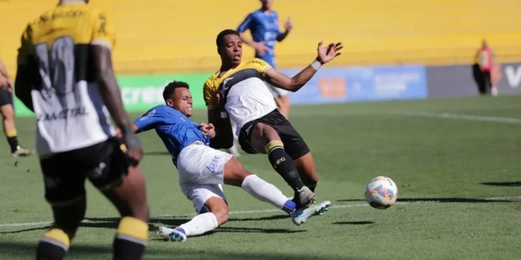 Foto: Celso da Luz / Criciúma EC