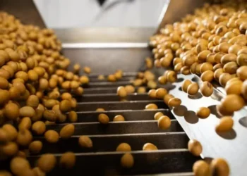 Esmagamento de soja nos EUA em setembro foi maior do que o esperado — Foto: Wenderson Araujo/CNA