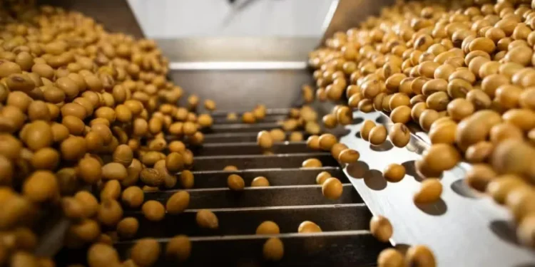 Esmagamento de soja nos EUA em setembro foi maior do que o esperado — Foto: Wenderson Araujo/CNA