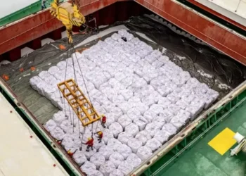 O porto de Paranaguá recebeu 26,1% do total de fertilizantes descarregados nos portos brasileiros — Foto: Claudio Neves/Portos do Paraná