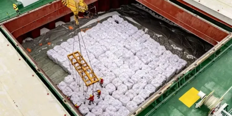 O porto de Paranaguá recebeu 26,1% do total de fertilizantes descarregados nos portos brasileiros — Foto: Claudio Neves/Portos do Paraná