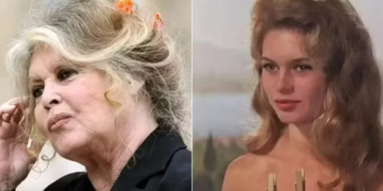 Brigitte Bardot — Foto: Reprodução