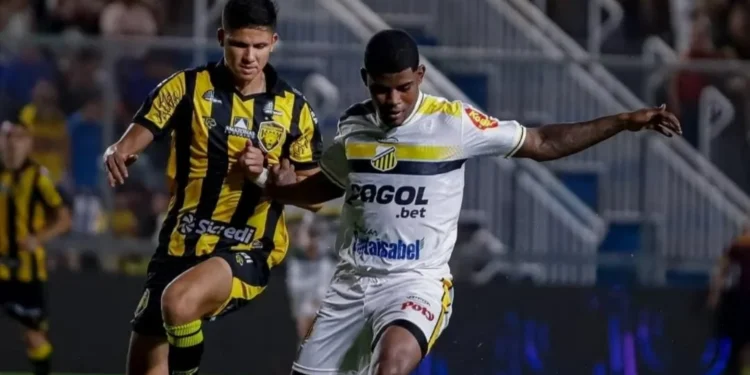 Foto: Ozzai Junior /Novorizontino