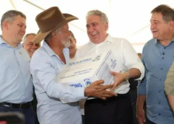 Governador Laurez Moreira participa de workshop sobre fruticultura e entrega kits do programa Mesa Farta em PalmasProgramação do HortifruTO foi voltada para tecnologias e técnicas avançadas de produção, incluindo palestras, oficinas e atividades de campo
Patrícia Alves
Por: Patrícia Alves Fonte: Redação / Agência Tocantins