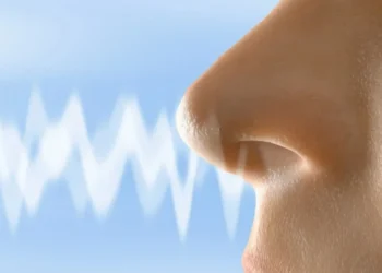 artpartner-images/ Getty Images