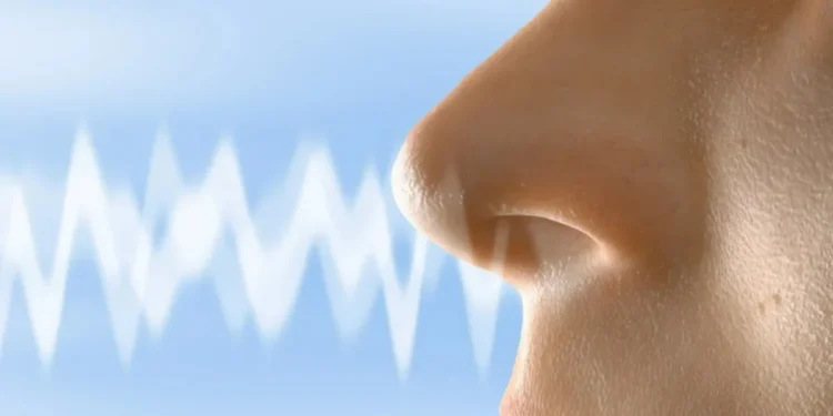 artpartner-images/ Getty Images