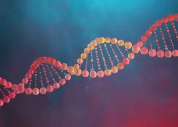 Stanislaw Pytel / Getty Images