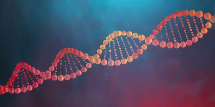 Stanislaw Pytel / Getty Images