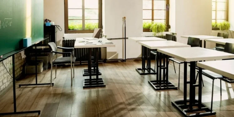 App do MEC impacta o mercado de cursinhos preparatórios
crédito: Freepik