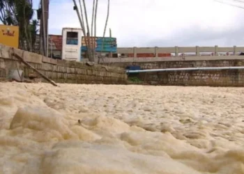 Foto:Thomas Braga/NSC