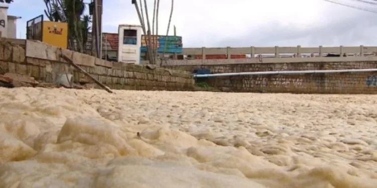 Foto:Thomas Braga/NSC