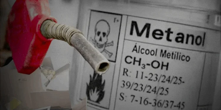 Carla Sena/Arte Metrópoles