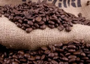 Summit sobre agricultura regenerativa foi realizado em São Paulo — Foto: Thiago de Jesus