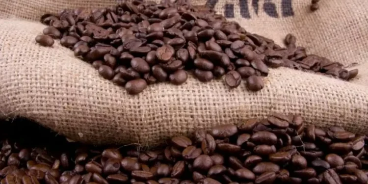 Summit sobre agricultura regenerativa foi realizado em São Paulo — Foto: Thiago de Jesus