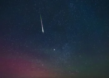 Foto: Zhengshun Tang/ Getty Images