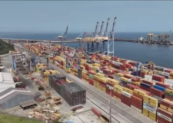 Tarifaço: estados do Sudeste e do Sul lideram perdas em valores totais exportados para os EUA