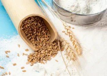 Indústrias de trigo geram 30 mil empregos diretos e um faturamento anual de R$ 26 bilhões — Foto: Canva/ Creative Commoms