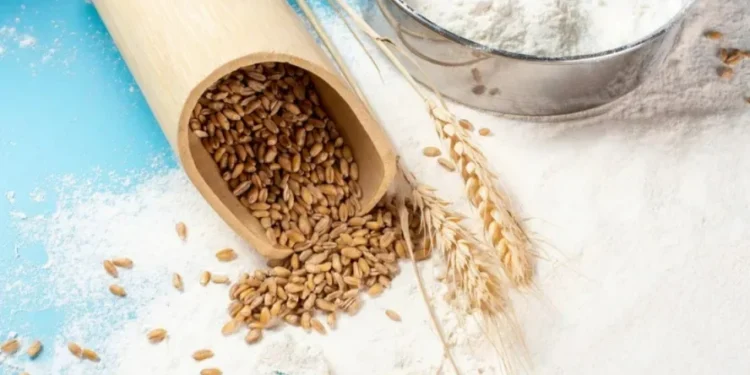 Indústrias de trigo geram 30 mil empregos diretos e um faturamento anual de R$ 26 bilhões — Foto: Canva/ Creative Commoms