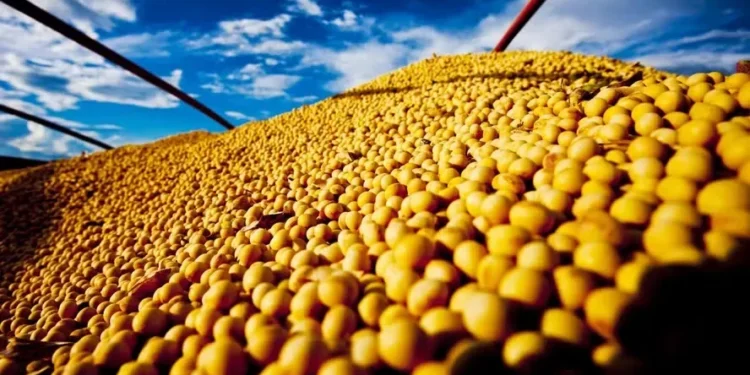 Estados Unidos e China estão sem negociar soja — Foto: R.R. Rufino/Embrapa