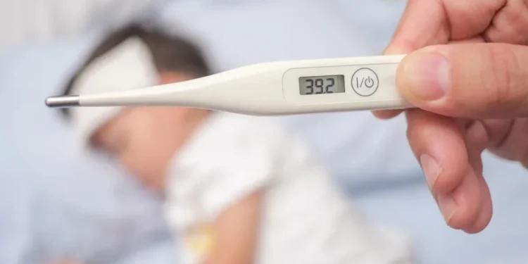 Foto: yaoinlove/Getty Images