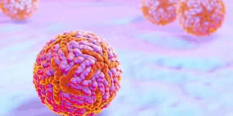 Kateryna Kon/Science Photo Library/Getty Images