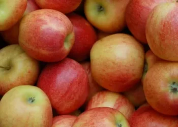 Segmento reforçou pedido de atenção aos mercados da maçã e da uva — Foto: Getty Images/Canva