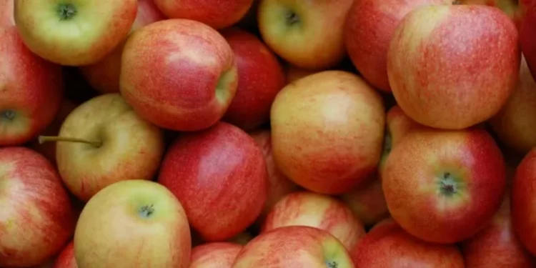 Segmento reforçou pedido de atenção aos mercados da maçã e da uva — Foto: Getty Images/Canva