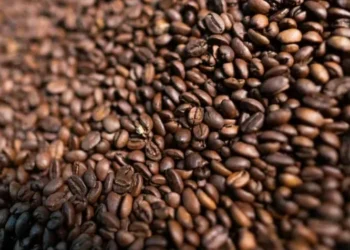 Café brasileiro — Foto: Wenderson Araújo/CNA