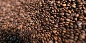 Café brasileiro — Foto: Wenderson Araújo/CNA