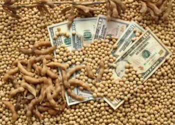 Até o momento, não há negociações de soja da safra nova dos Estados Unidos com a China — Foto: Getty Images