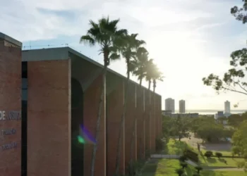 TJ cria Política de Equidade de Gênero e Racial para promover inclusão no Judiciário