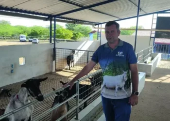 Caprinocultor Irandy Roberto, de Monteiro (PB) — Foto: Paulo Santos