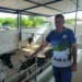 Produtores reforçam renda com leite de cabra no interior da Paraíba