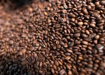 Café volta a cair em Nova York, com melhora do clima e expectativa de acordo entre EUA e Brasil