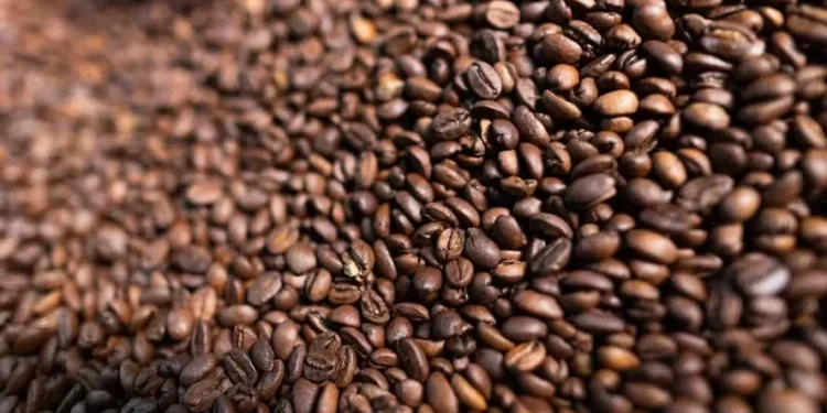 Café volta a cair em Nova York, com melhora do clima e expectativa de acordo entre EUA e Brasil